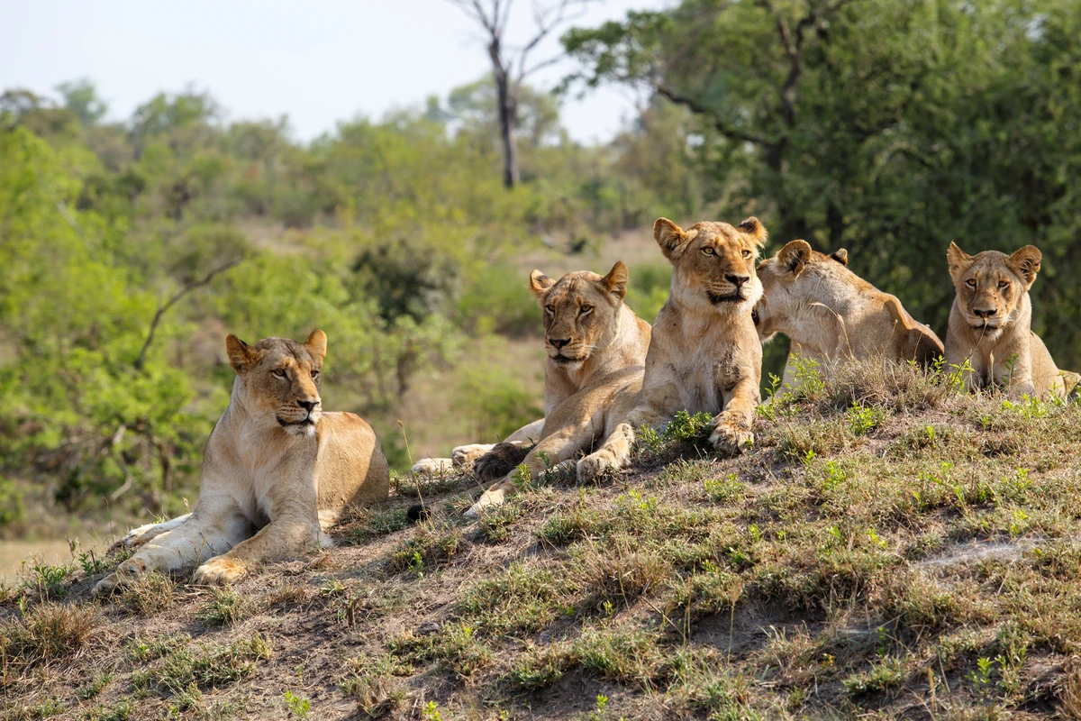 Safaripark Sigean