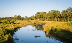 Overijssel