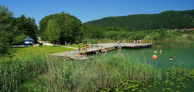 breznik