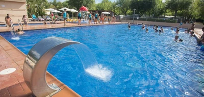 caballo-de-mar