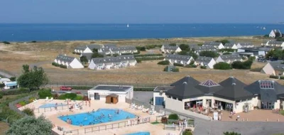 les-chardons-bleus