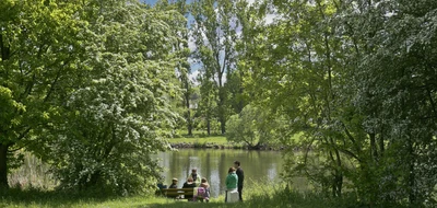 knaus-frickenhausen